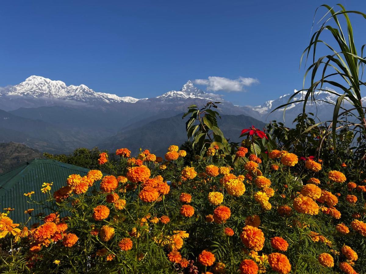 Es Deurali Resort Pokhara Esterno foto